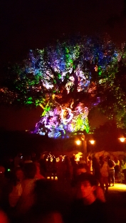 Tree of Life, Orlando
